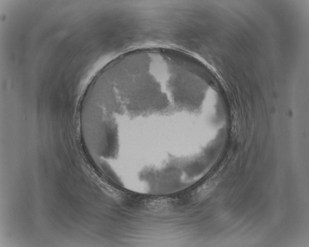 X0000075811367200610151419