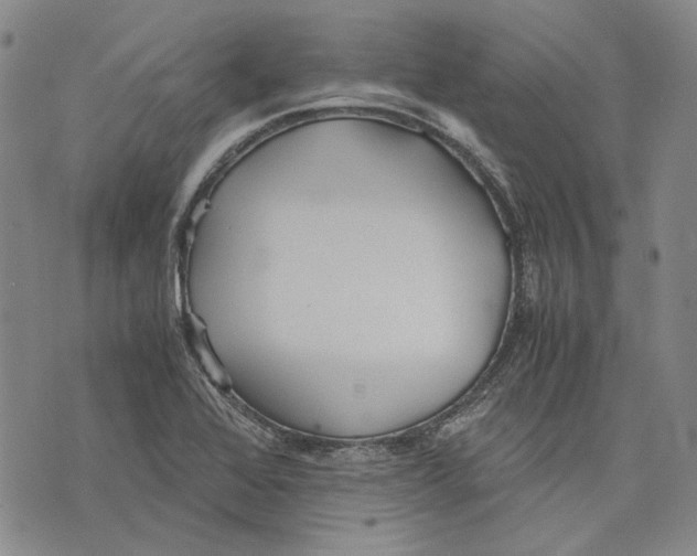 X0000075811368200610151419