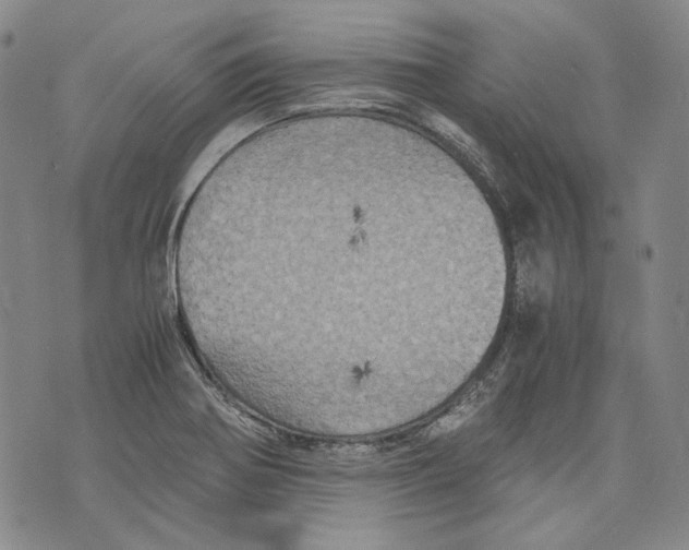 X0000075811370200610151419