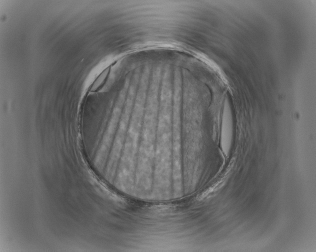 X0000075811373200610151419