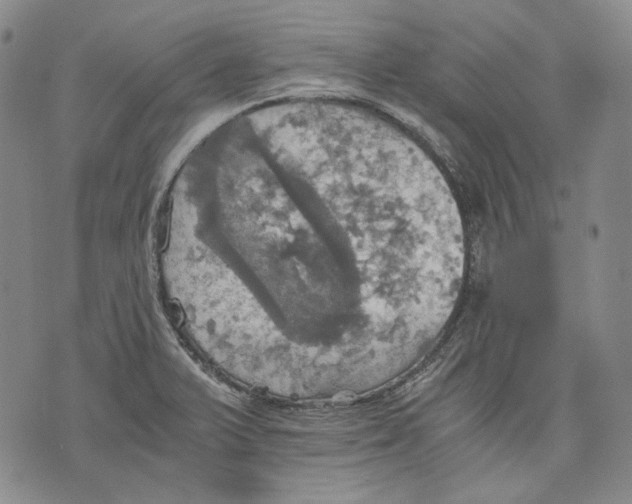 X0000075811375200610151419