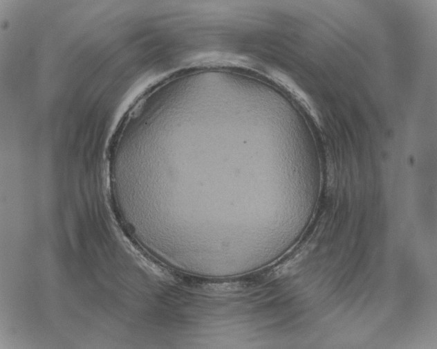 X0000075811376200610151419