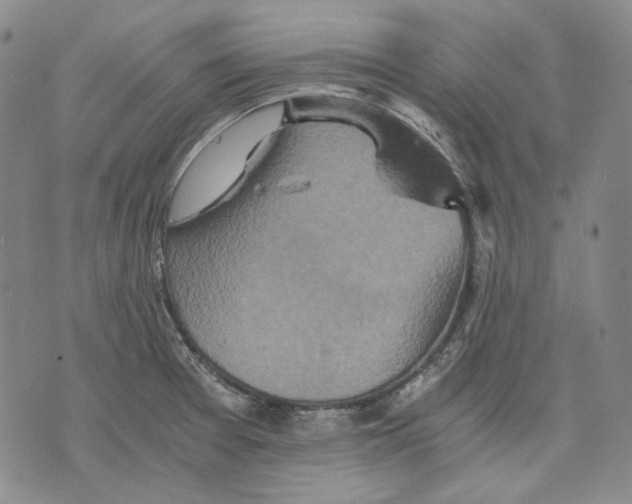 X0000075811377200610151419