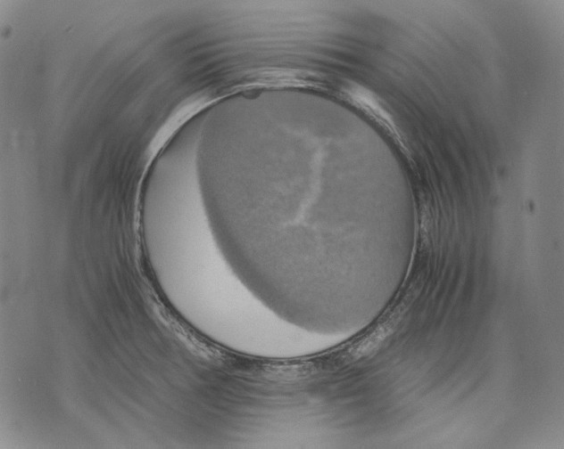 X0000075811378200610151419