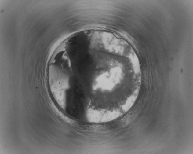 X0000075811379200610151419