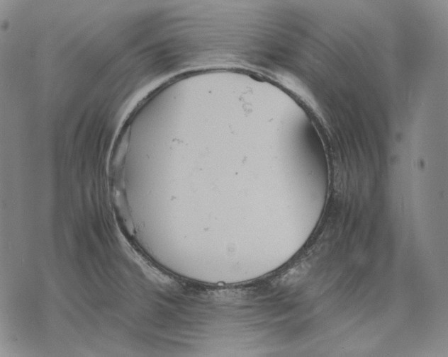 X0000075811380200610151419