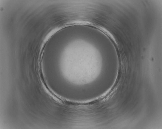 X0000075811381200610151419