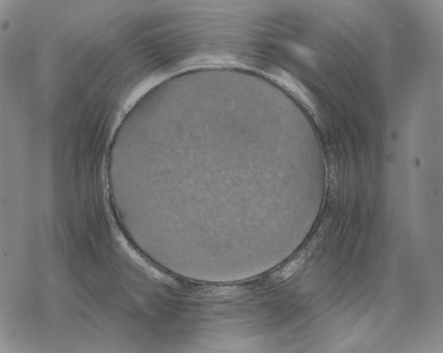 X0000075811382200610151419