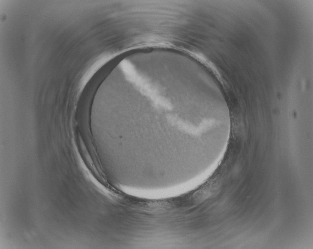 X0000075811383200610151419