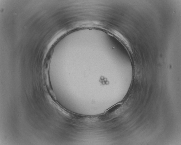 X0000075811384200610151419