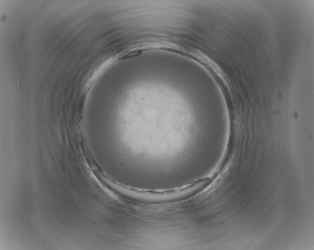 X0000075811385200610151419