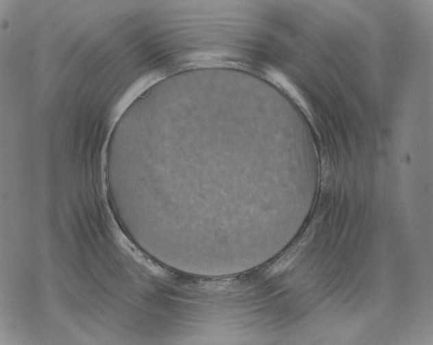 X0000075811386200610151419