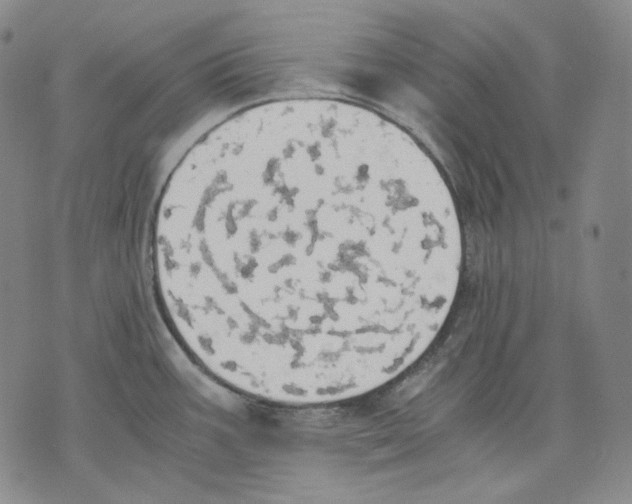 X0000075811387200610151419