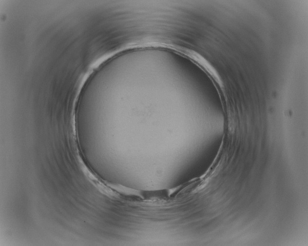 X0000075811388200610151419