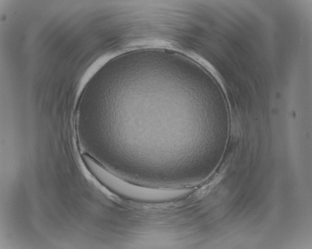 X0000075811389200610151419