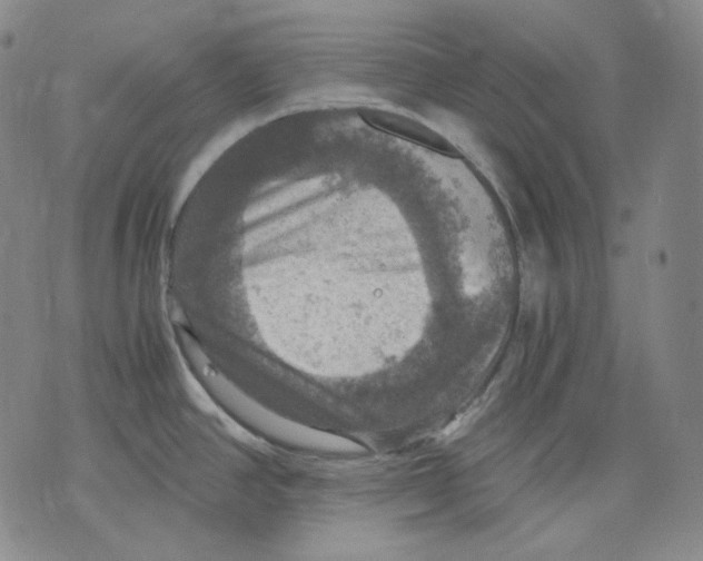 X0000075811390200610151419