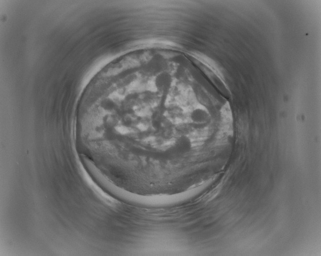 X0000075811391200610151419