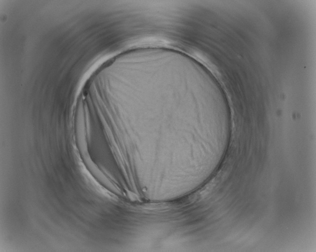 X0000075811392200610151419