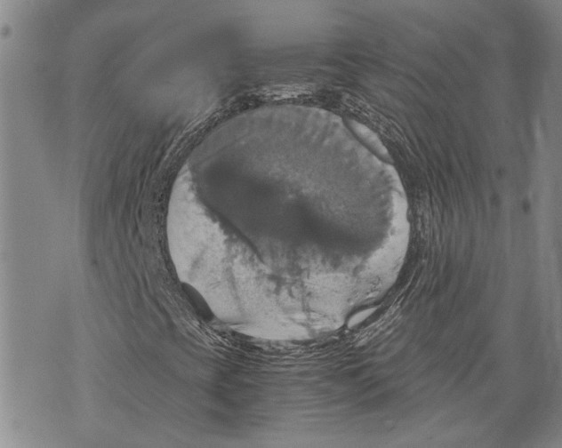 X0000075811393200610151418