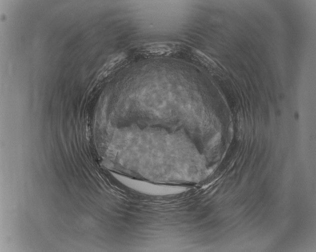 X0000075811394200610151418