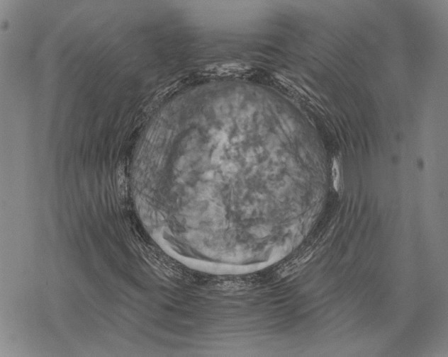 X0000075811395200610151418