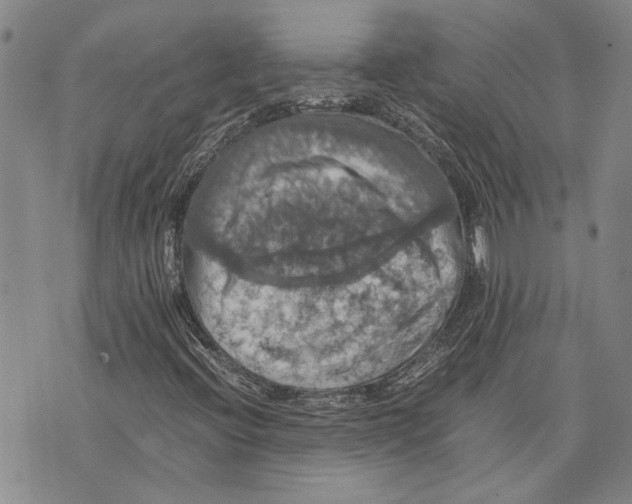 X0000075811396200610151418