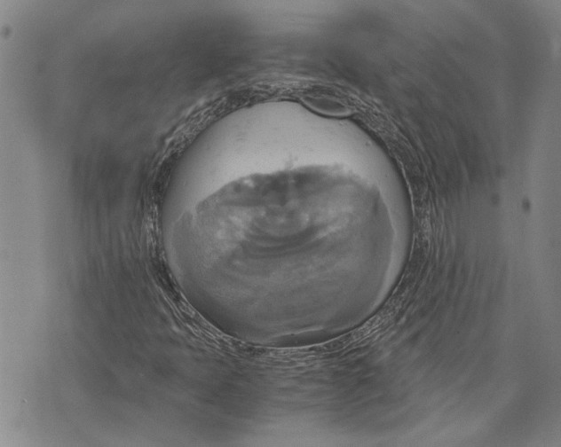 X0000075811397200610151418