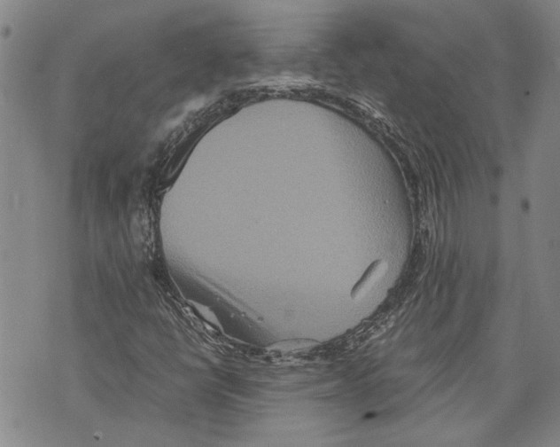 X0000075811398200610151418