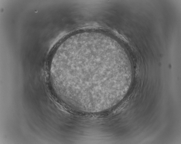 X0000075811400200610151418