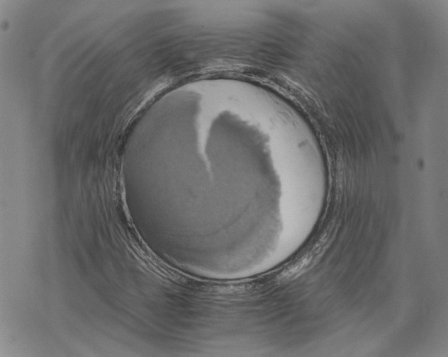 X0000075811401200610151418