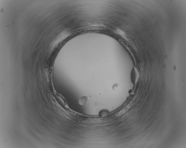 X0000075811402200610151418