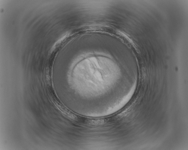 X0000075811403200610151418