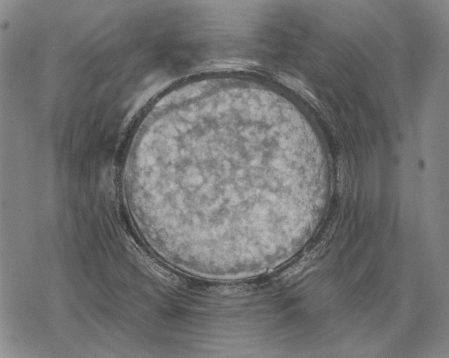 X0000075811404200610151418