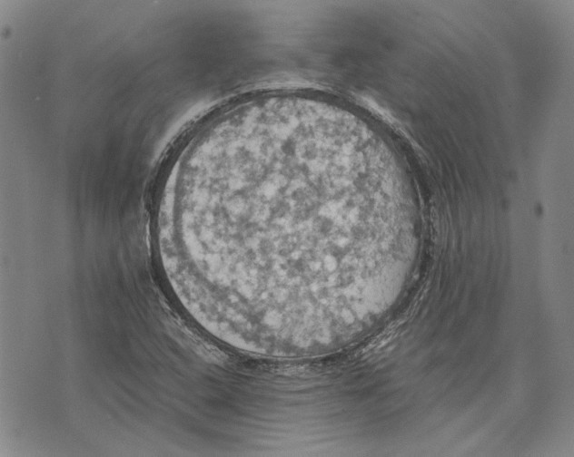 X0000075811408200610151418