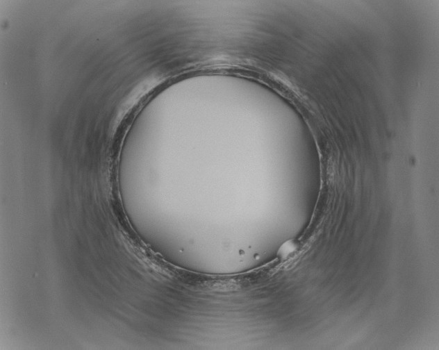 X0000075811410200610151418