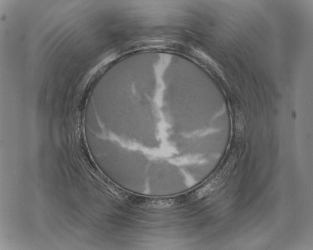 X0000075811411200610151418