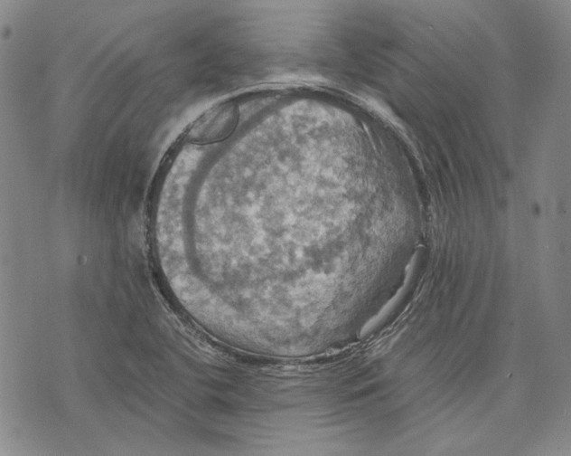 X0000075811412200610151418