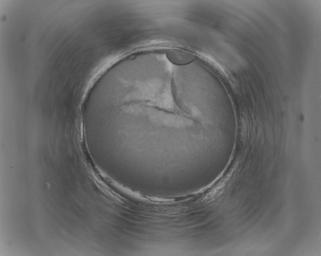 X0000075811413200610151418