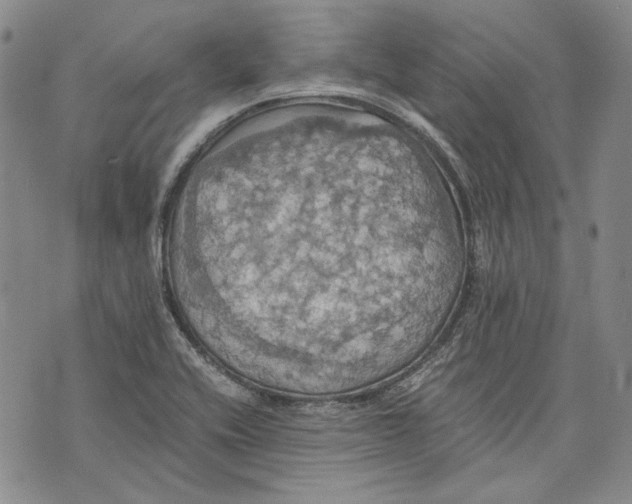 X0000075811416200610151418