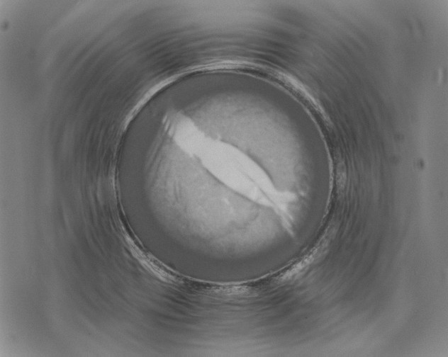 X0000075811417200610151418