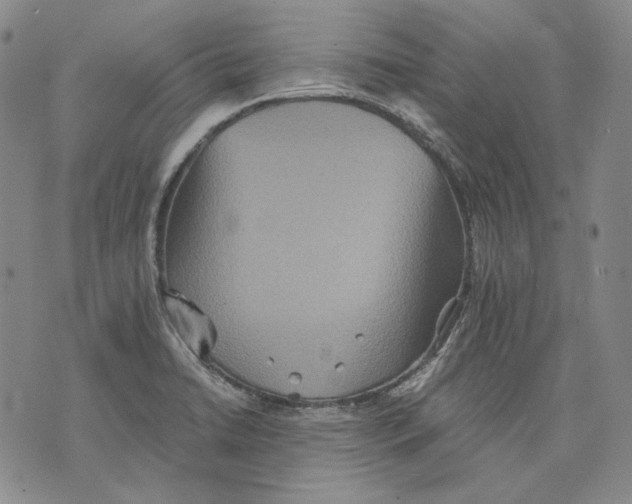 X0000075811422200610151418