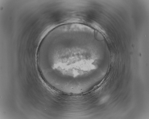 X0000075811423200610151418