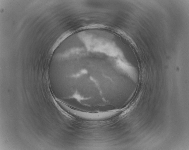 X0000075811425200610151418