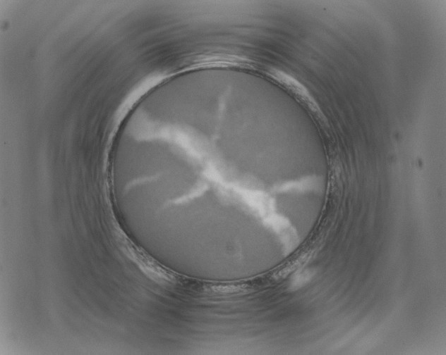 X0000075811427200610151418