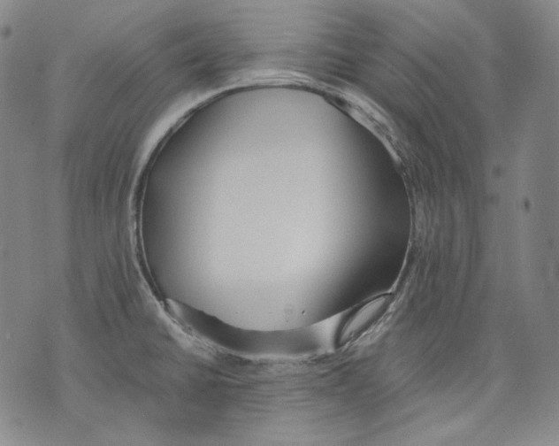 X0000075811430200610151419