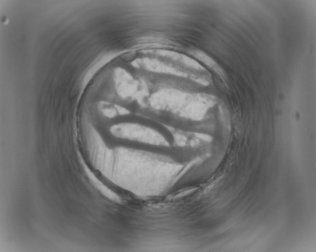 X0000075811431200610151419