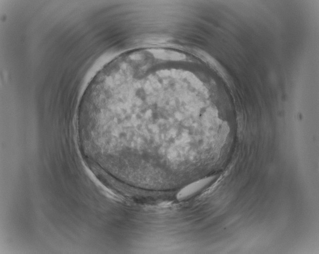 X0000075811432200610151419