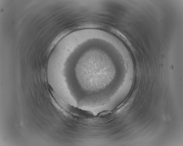 X0000075811433200610151419