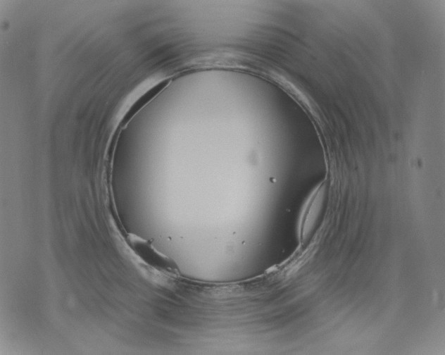 X0000075811434200610151419