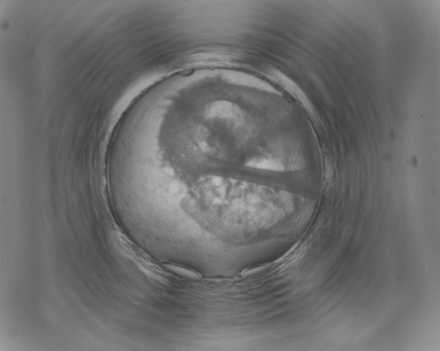 X0000075811435200610151419